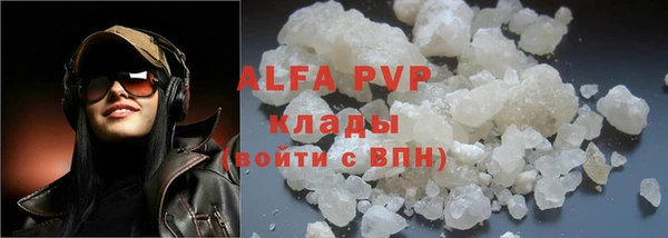 молекула духа Арсеньев