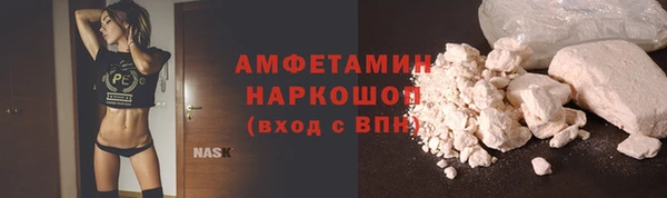 молекула духа Арсеньев