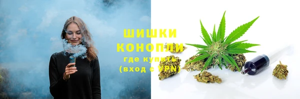 молекула духа Арсеньев