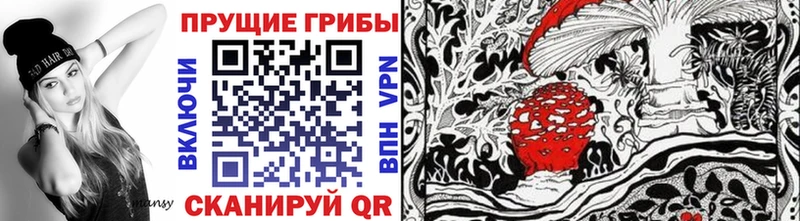 где купить наркотик  Спас-Деменск  Галлюциногенные грибы мухоморы 